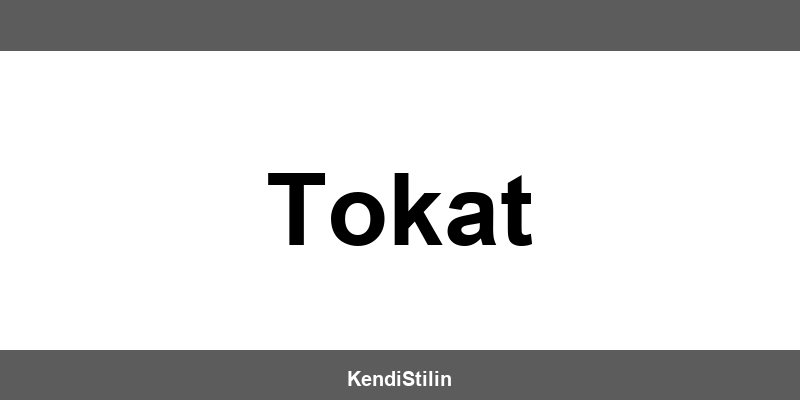 Addax Tokat şubeleri iletişim bilgileri